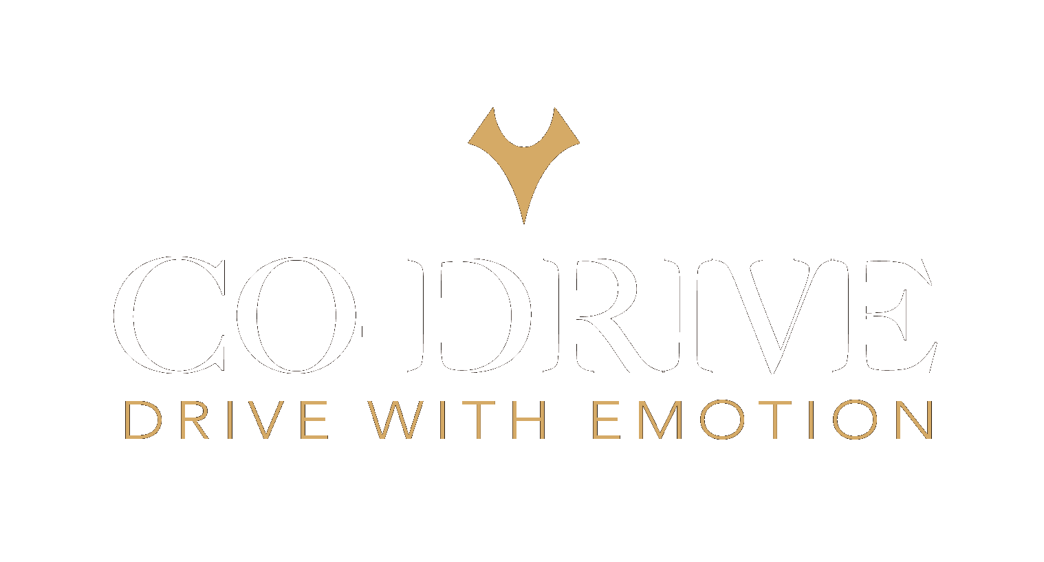 Co-Drive